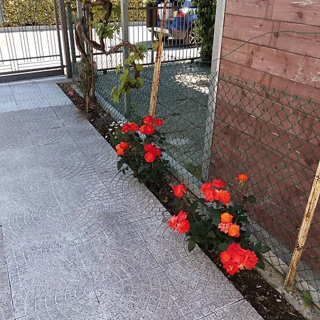 Alba Home Riccione Apartmán *